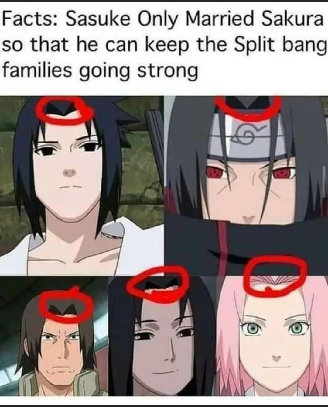 Sorry Ino , you got the wrong hair style