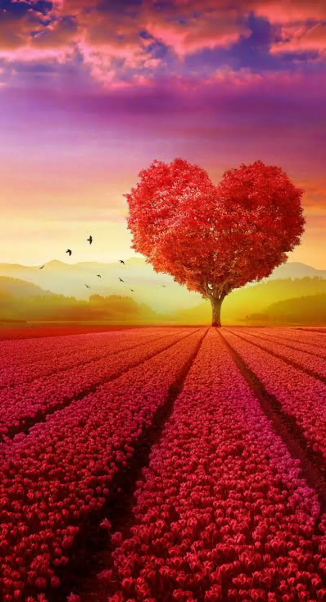 Spread Love everywhere