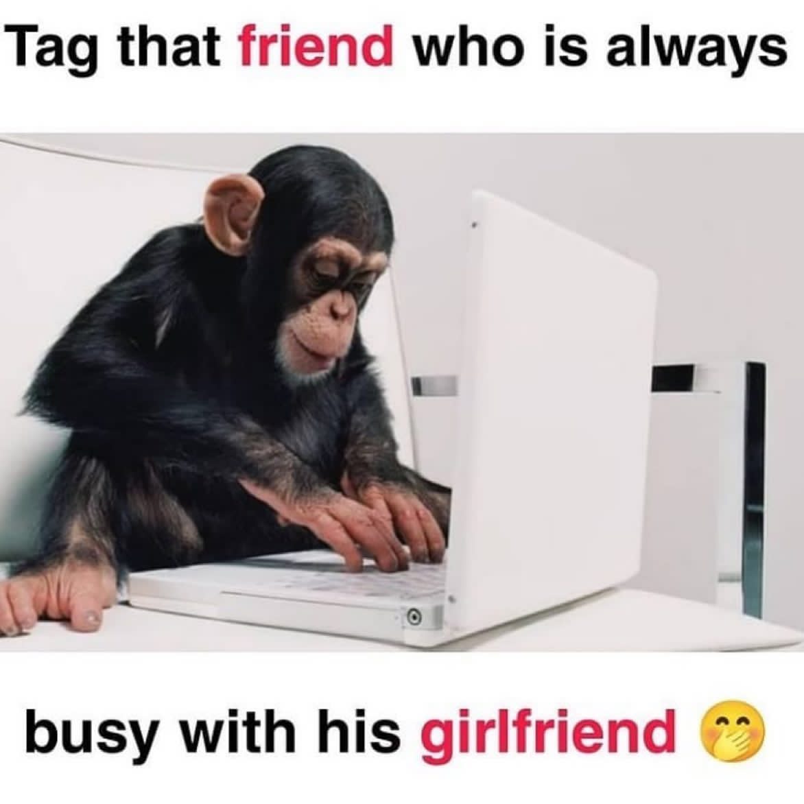 Tag your best friend