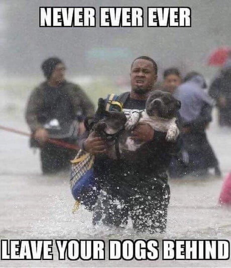 Talking to you, Florida.