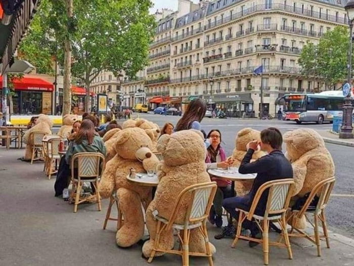 Teddy bears used for social distancing In this French cafe.