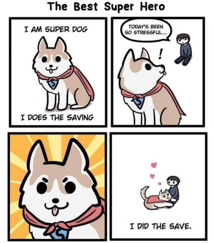 The best superhero... super doggo!!!