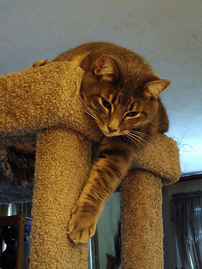 The boy is watching me crochet :D