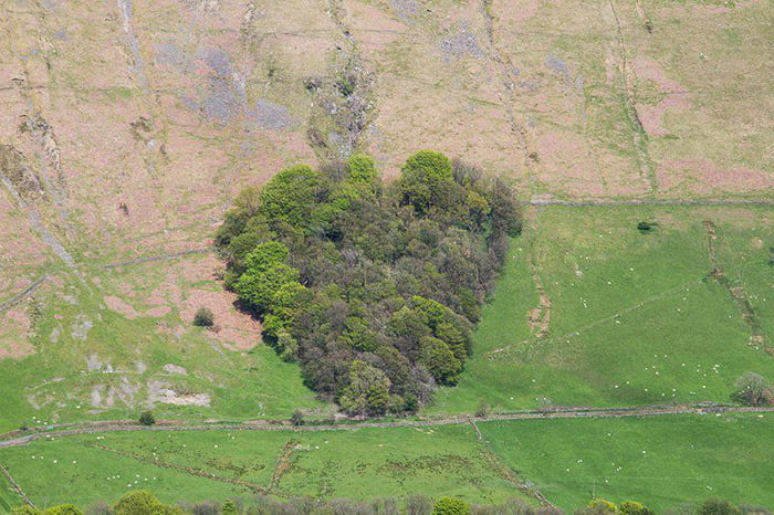 The Heart Of Trees that was made by a farmer for his wife in the Tebay gorge, along the M6 motorway in the UK.