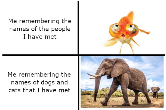 The meme is the funny part, making the title unnecessary.