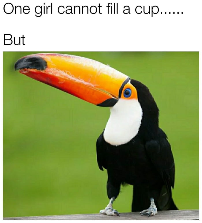 The most disgusting video I've ever had the pleasure of watching