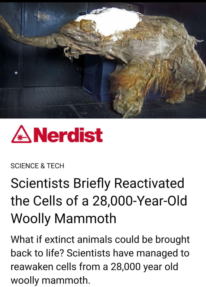 The possibilities are limitless