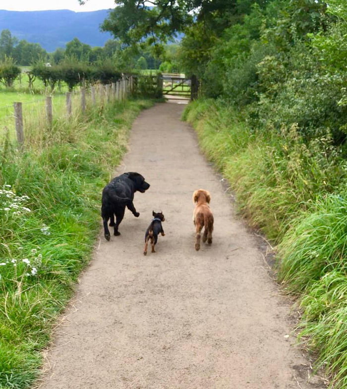 The three &lsquo;adventurers&rsquo;