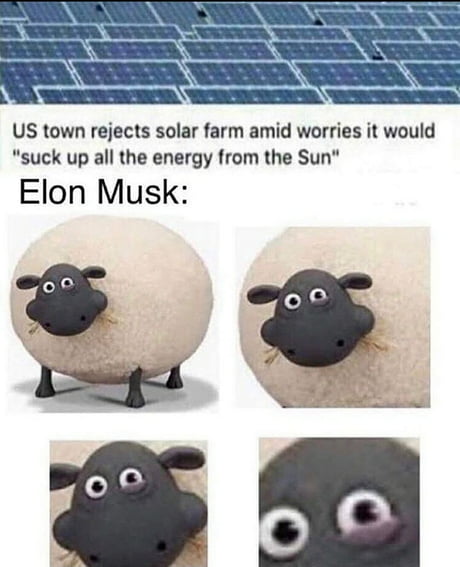 They also rejected brain cells