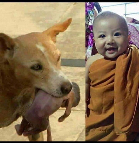This boy was saved by a dog when his parents left him in a rubbish bin This is him today