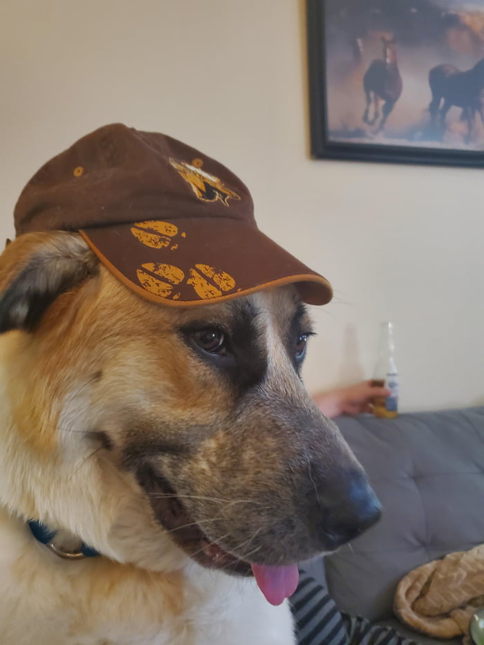 This derptastic picture...