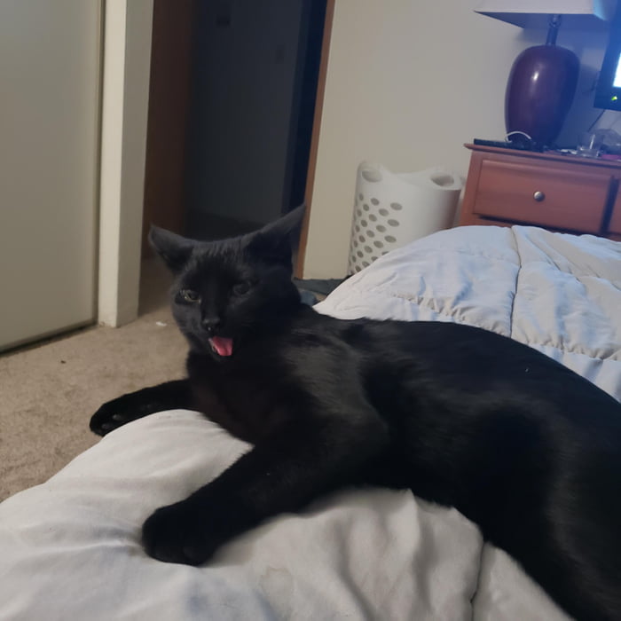 This is Ripley, she is... Interesting lol