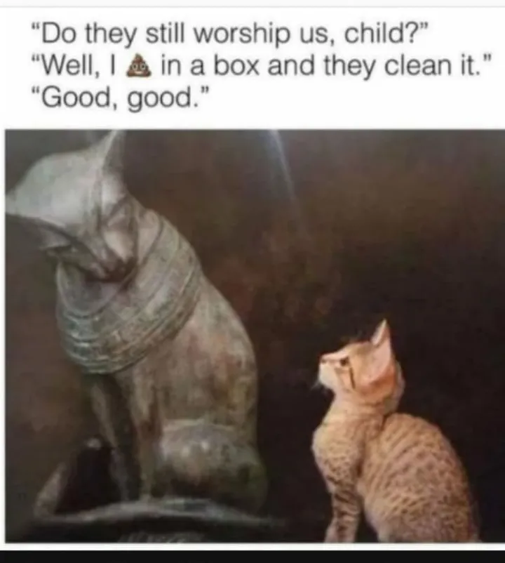 This is what we call perfect