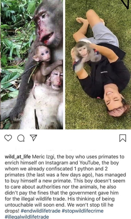 This person deserves nothing but pain