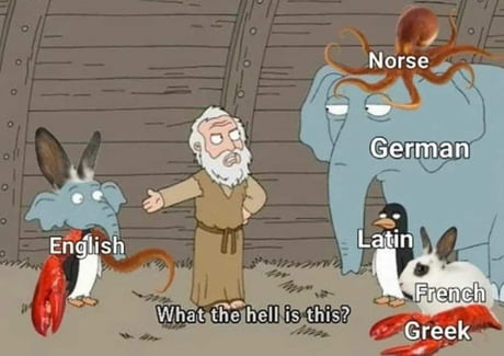 Three monkeys in a trenchcoat