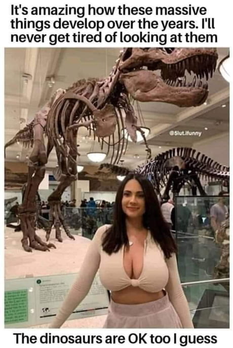 Took me a while to see the Dinosaur.....