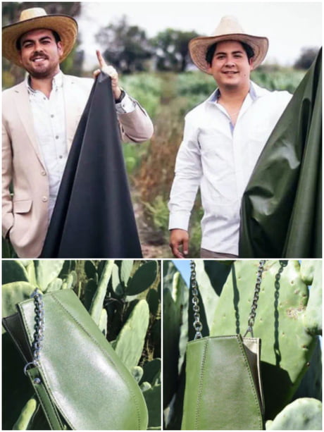 Two men Adri&aacute;n Velarde &amp; Marte C&aacute;zarez Created "Leather" from Cactus to save Animals and the Environment