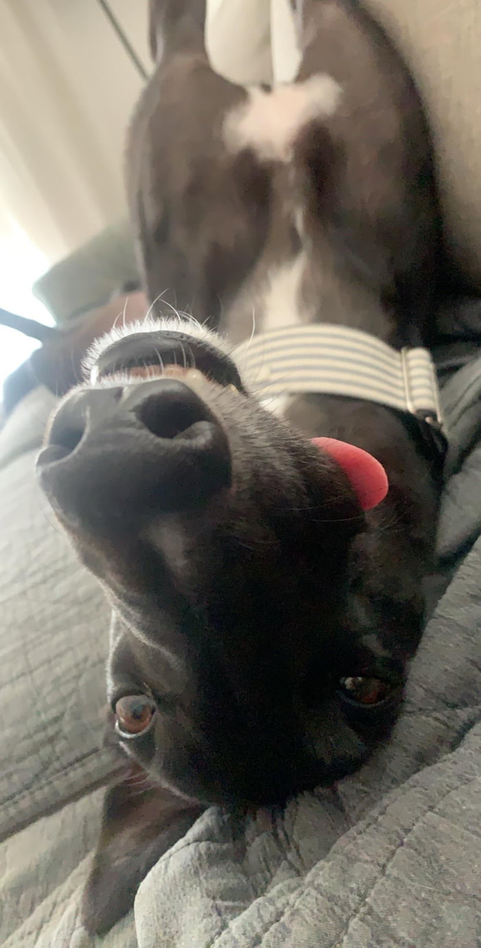 Uncomfortably ate lunch with this staring at me.