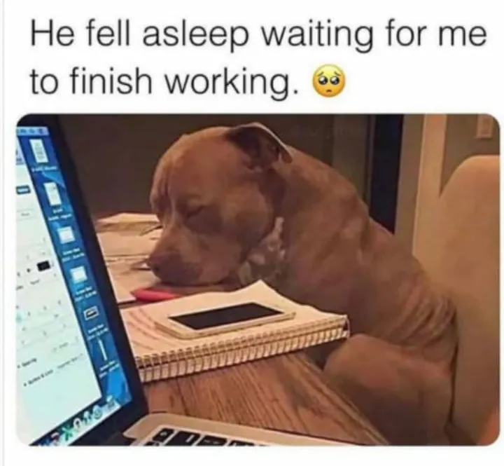 Waiting for your reply