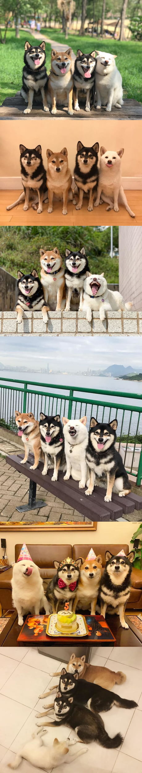 We all have that one friend who ruins gang pictures