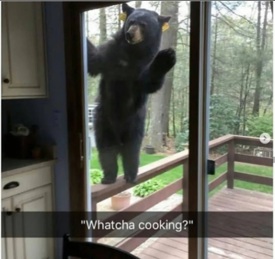 What are you cooking