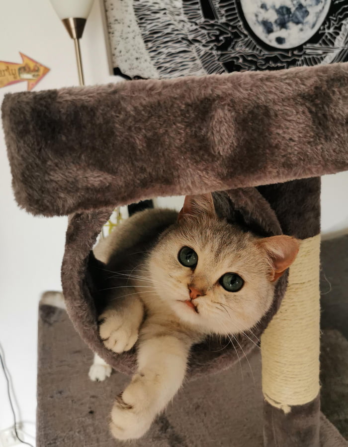 What you looking at?