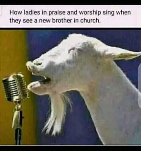 When a lady saw a new brother in the church