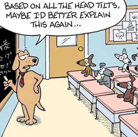 When I am trying to explain to some of my friends for the hundredth time, that COVID-19 is not the same as flu.