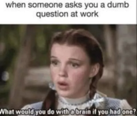 When someone ask you a dumb question