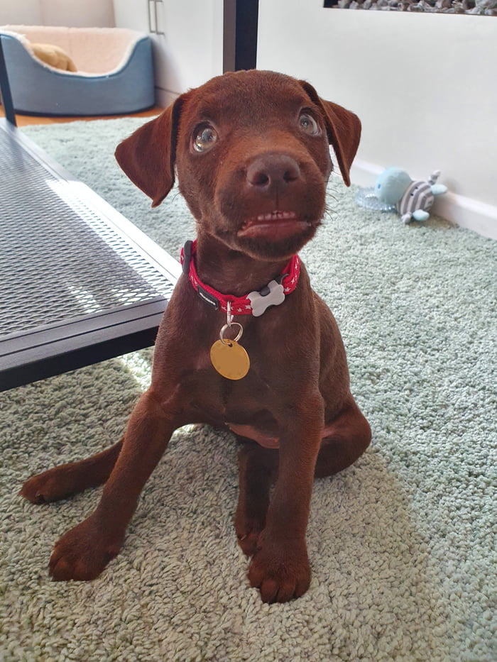 When you get unexpectedly asked to smile for a photo