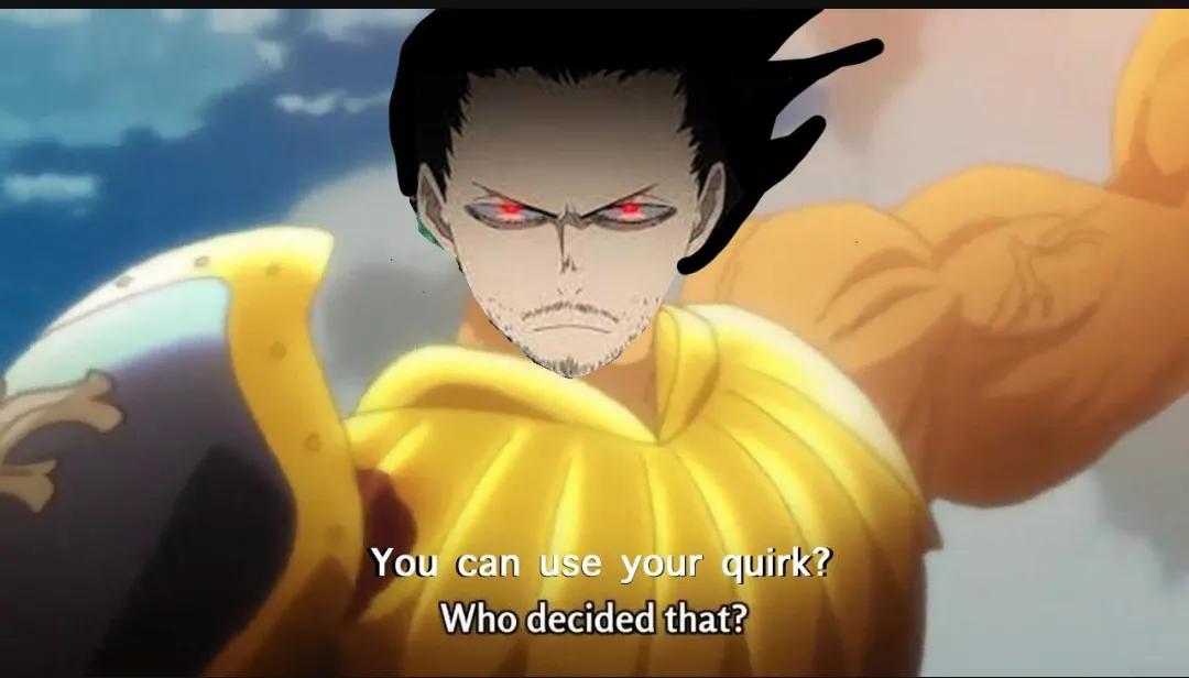 Who decided that?(my hero academia)