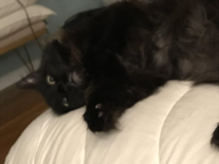 Whyd ya wake me up?!?