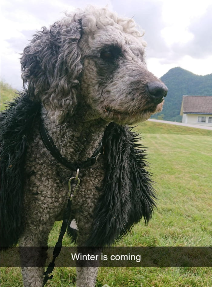 Winter is Coming..........