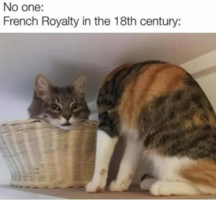 Yes dikhane ke kuch aur aur krne ke kuch qur