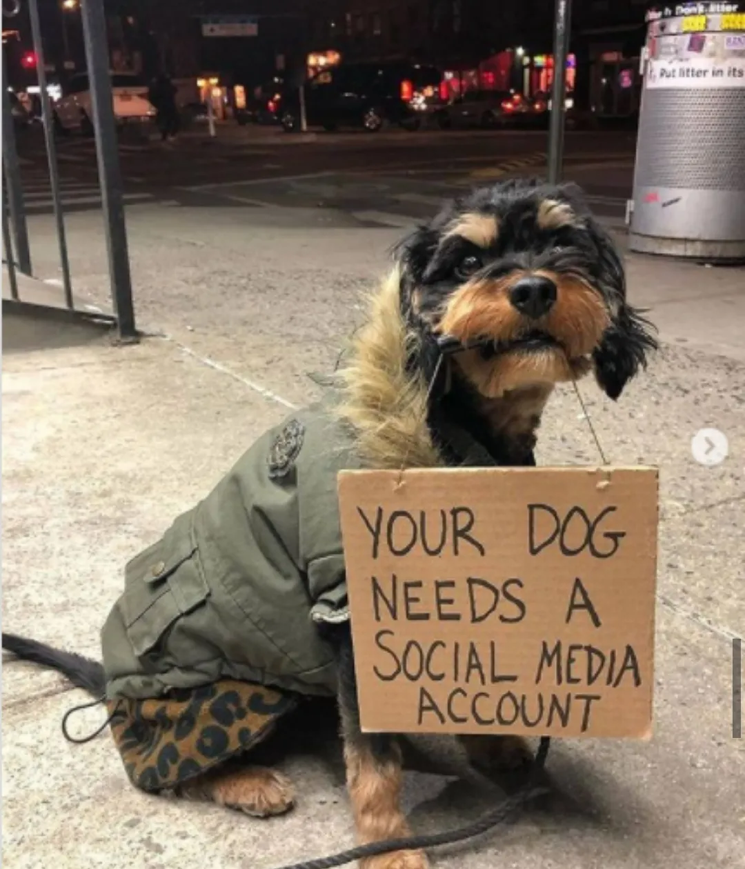 Yes please make her a new social media account