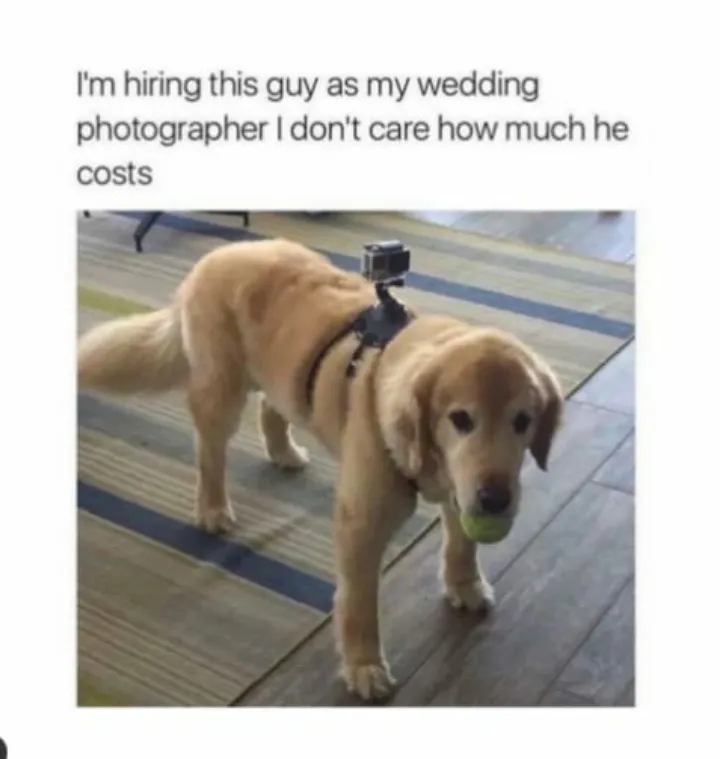 You know i don't sleep.best shots