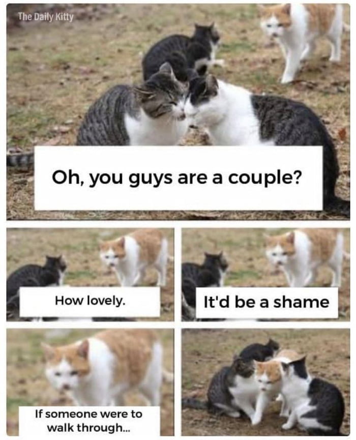 Your average third wheel