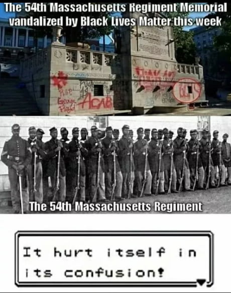 Zubat uses "confuse ray "